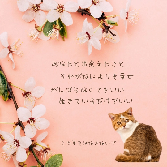 デザイン画像160