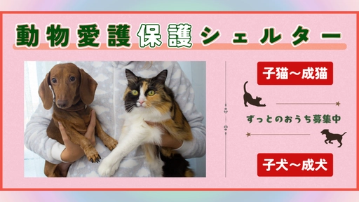 デザイン画像199