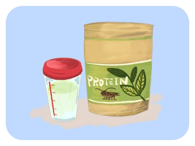 Protein Supplements 4